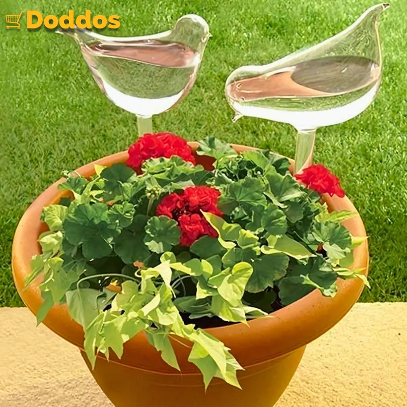 Auto-Regador para Plantas - Rega e Decora seu Jardim!