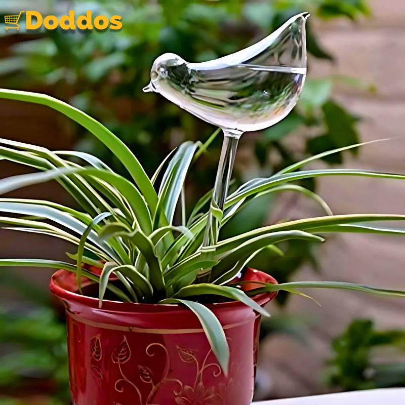 Auto-Regador para Plantas - Rega e Decora seu Jardim!